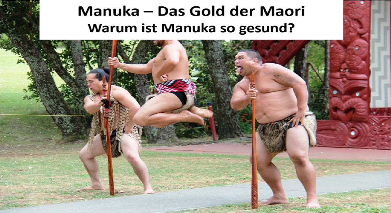 Maori_Warum-ist-Manuka-so-gesund-gleiche größe